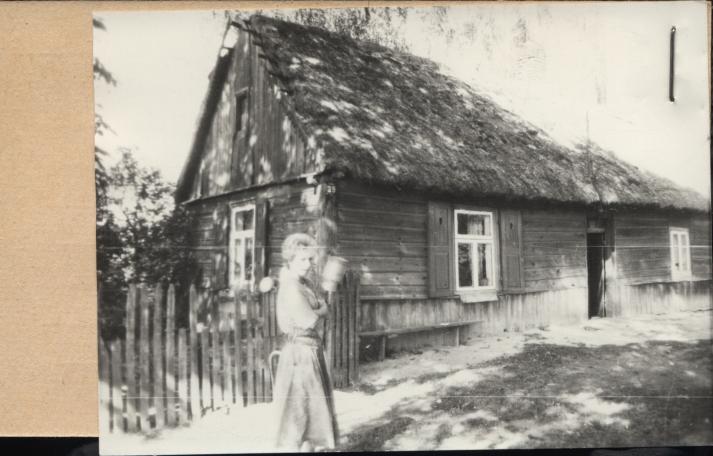 dom, skan 2