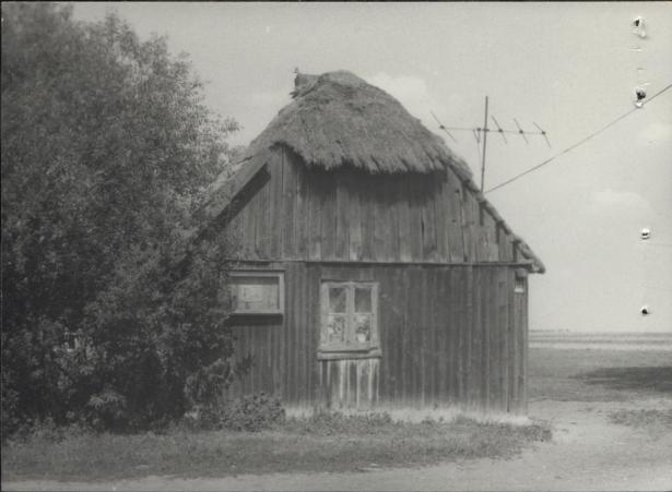 dom, skan 3