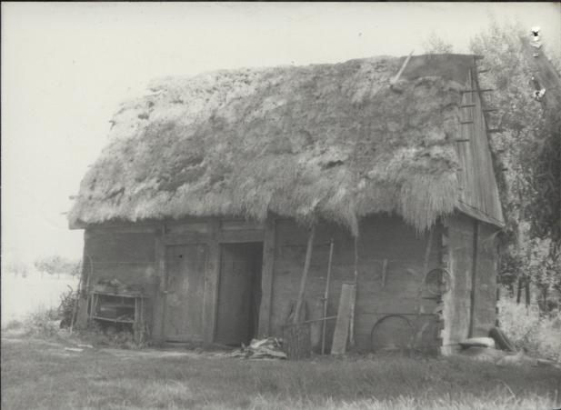 obora, skan 3