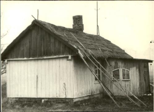 dom, skan 3