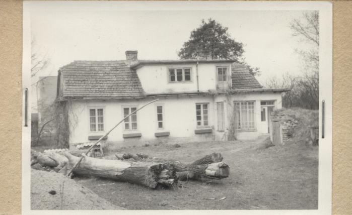 dom, skan 2