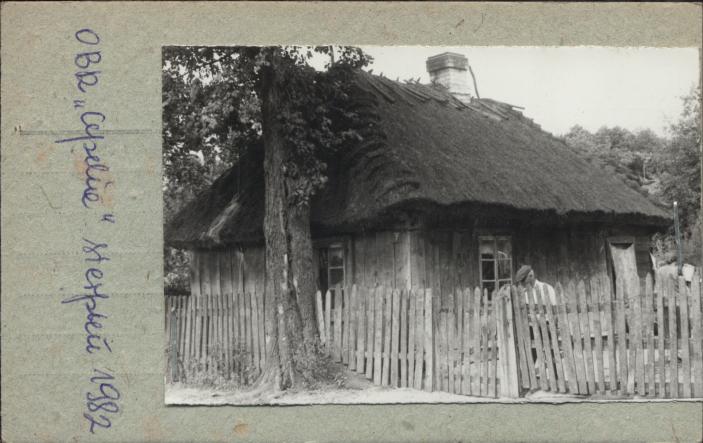 dom, skan 2