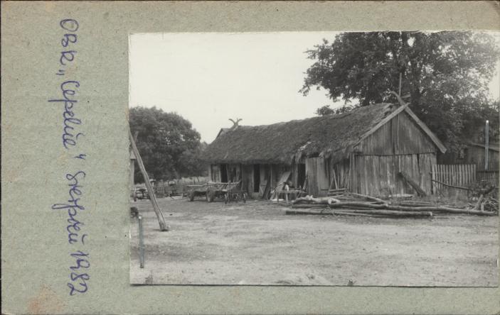 obora, skan 2