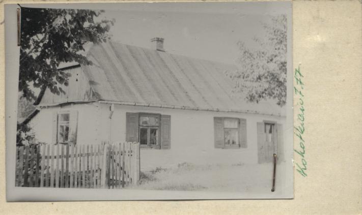 dom, skan 2