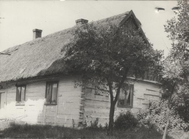 dom, skan 3