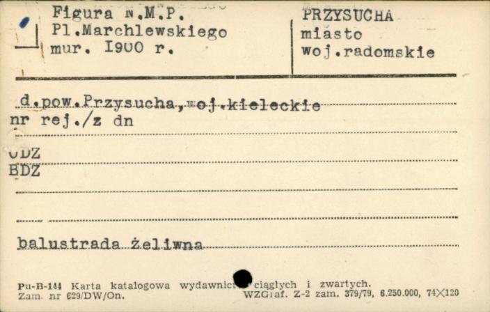 figura N.M.P., skan 1