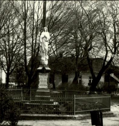 figura N.M.P., skan 3