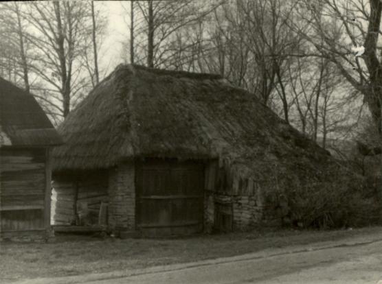 dom, skan 3