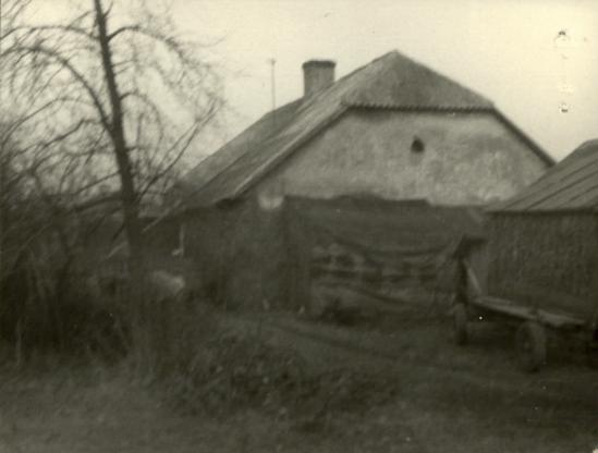 dom, skan 3