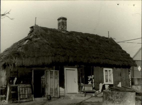 dom, skan 3