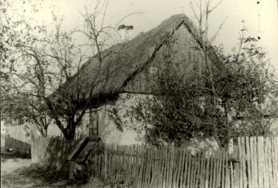dom, skan 3