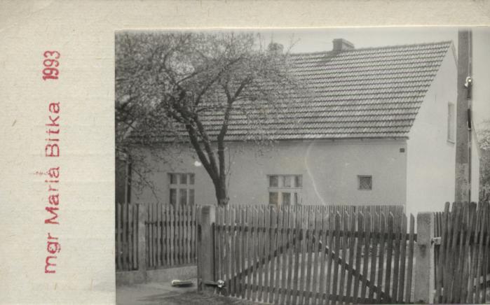 dom, skan 2