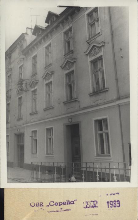 dom, skan 2