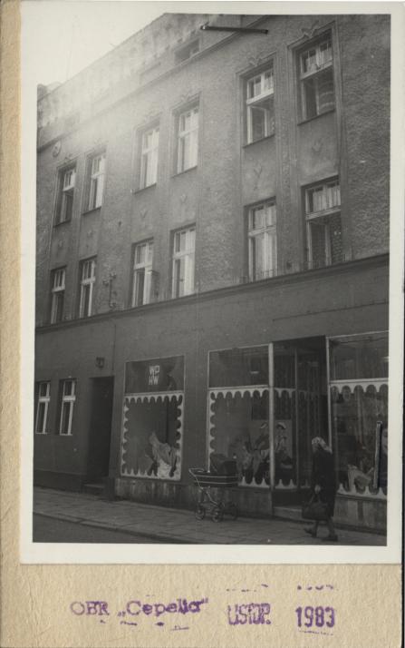 dom, skan 2