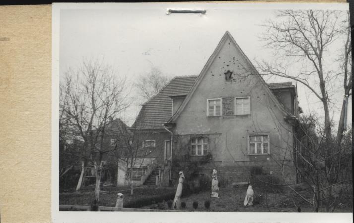 willa, skan 2