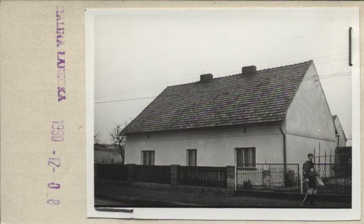 dom, skan 2