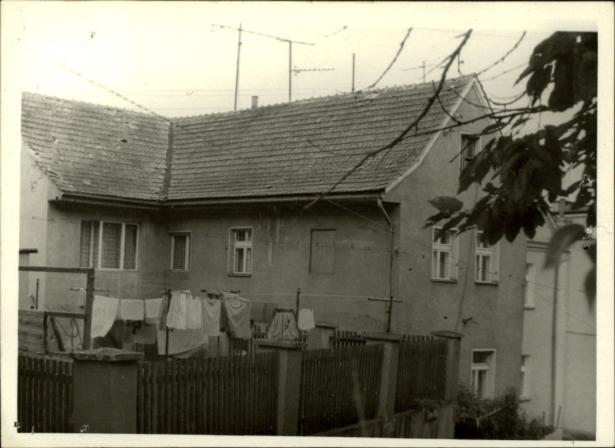 dom, skan 3
