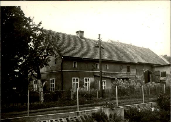 dom, skan 3