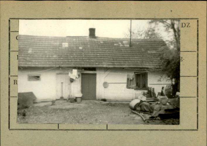 dom, skan 2