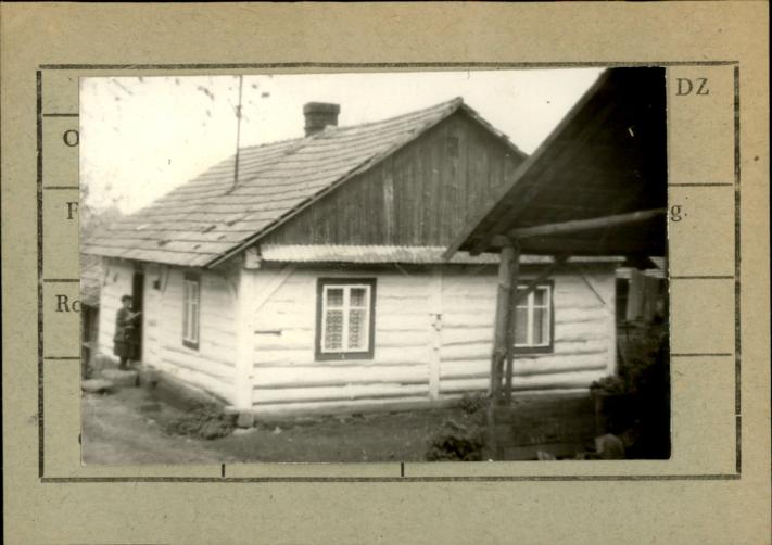 dom, skan 2