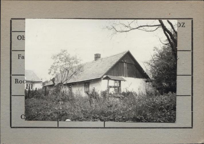 dom, skan 2