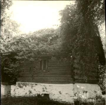 spichlerz/piwnica, skan 3