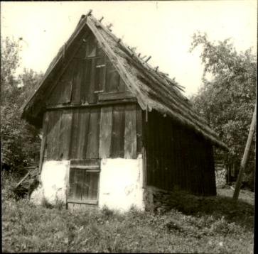 piwnica, skan 3