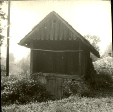 piwnica, skan 3