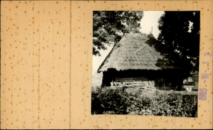 stodoła, skan 2