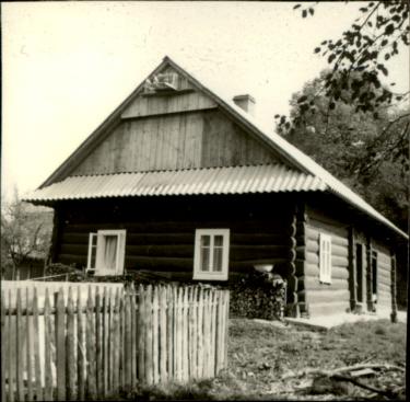 dom, skan 3