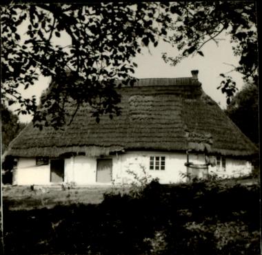 dom, skan 3