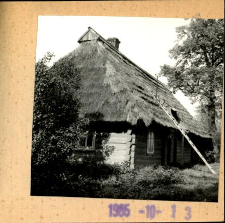 dom, skan 3