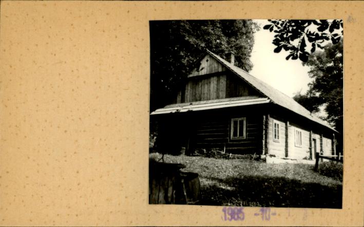 dom, skan 2
