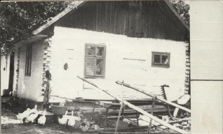 dom, skan 2