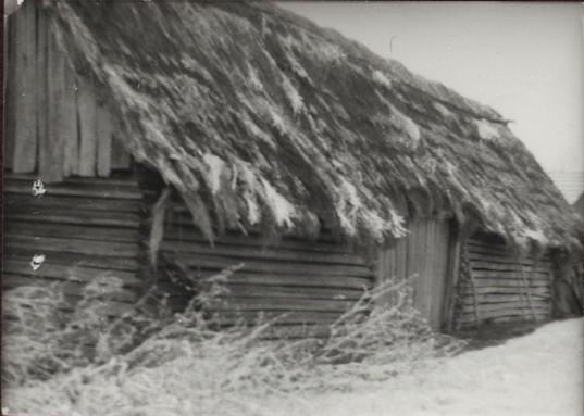 stodoła, skan 5