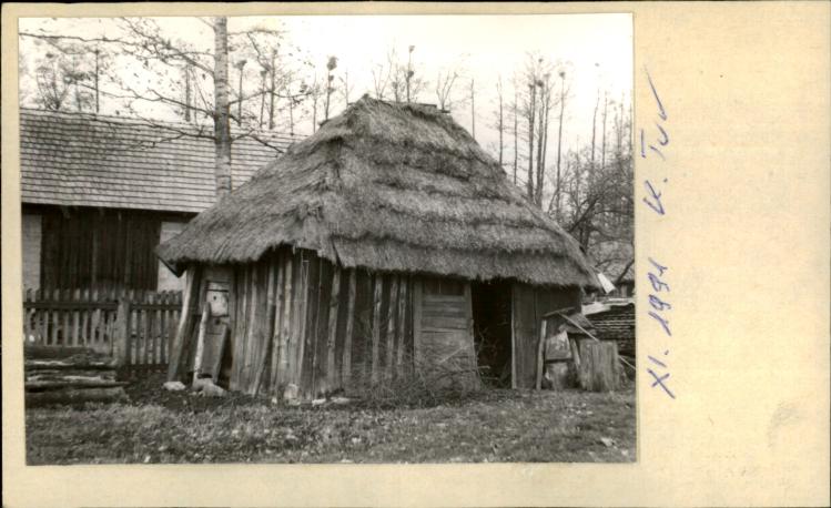 drewutnia, skan 2