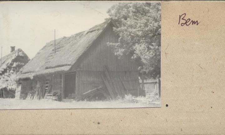 stajnia, skan 2