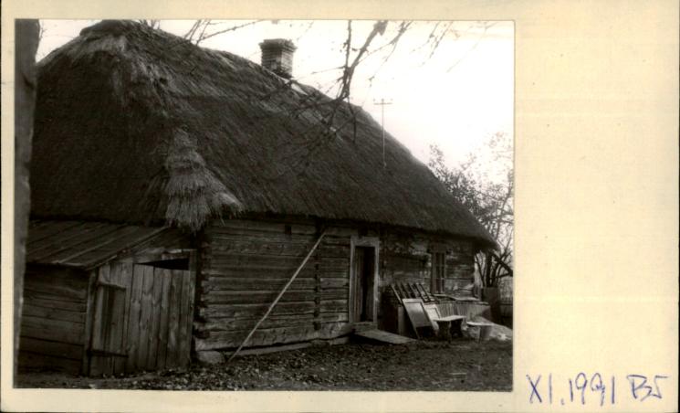 dom, skan 2