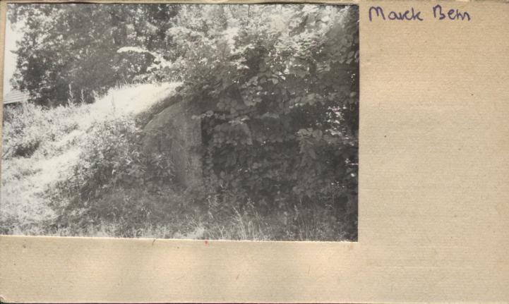 piwnica, skan 2