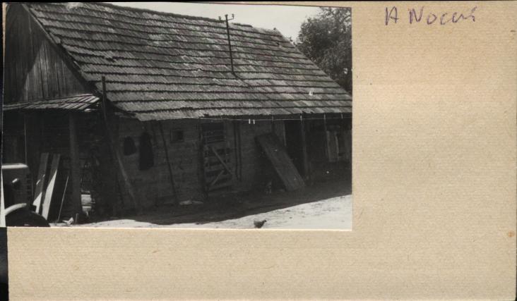 stajnia, skan 2