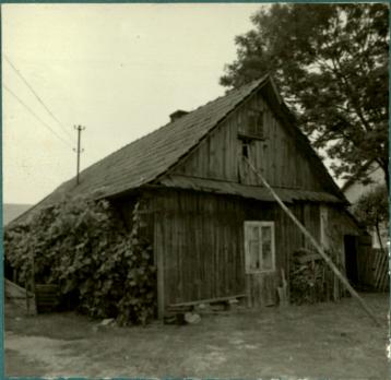 dom, skan 2