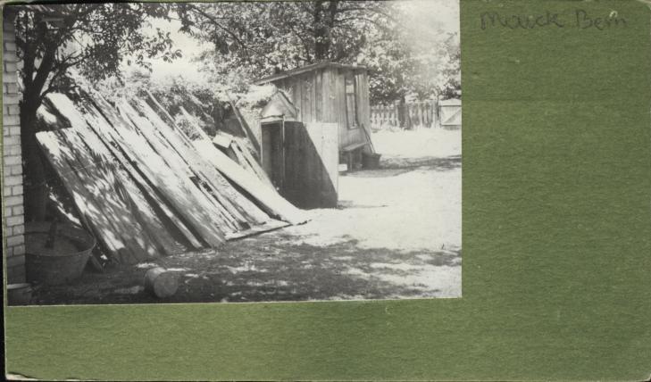 piwnica, skan 2