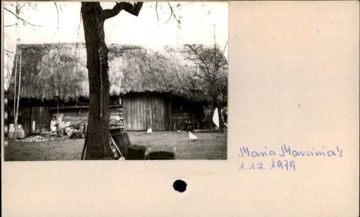 stodoła, skan 2