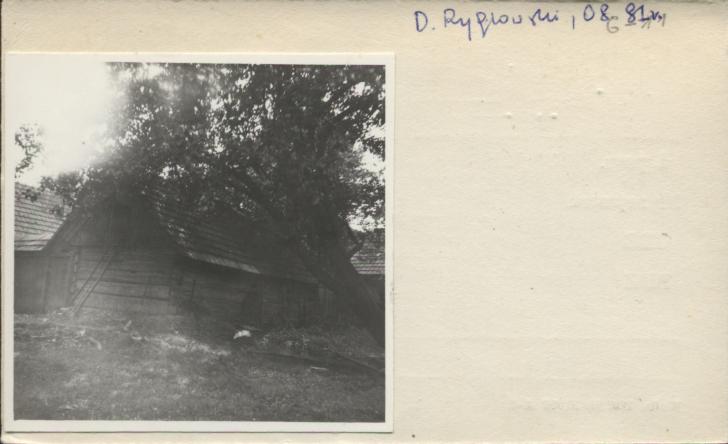 stajnia, skan 2