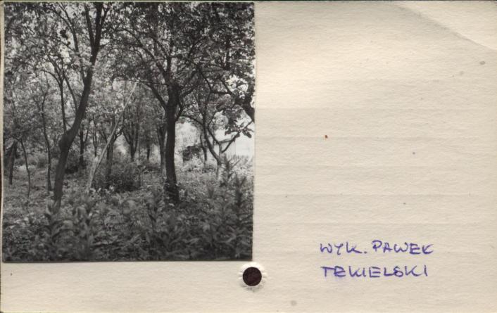 żuraw studzienny, skan 2