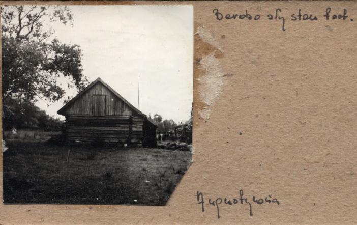 stajnia, skan 2