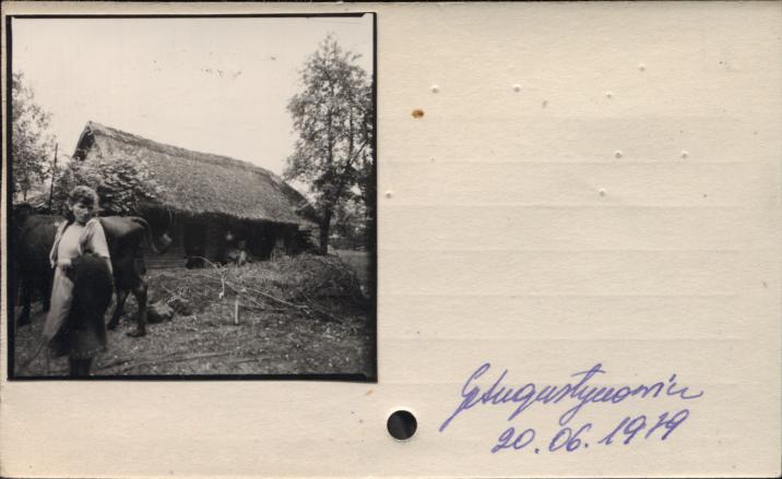 stajnia, skan 2