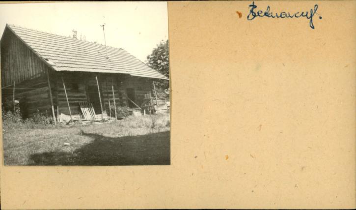 stajnia, skan 2