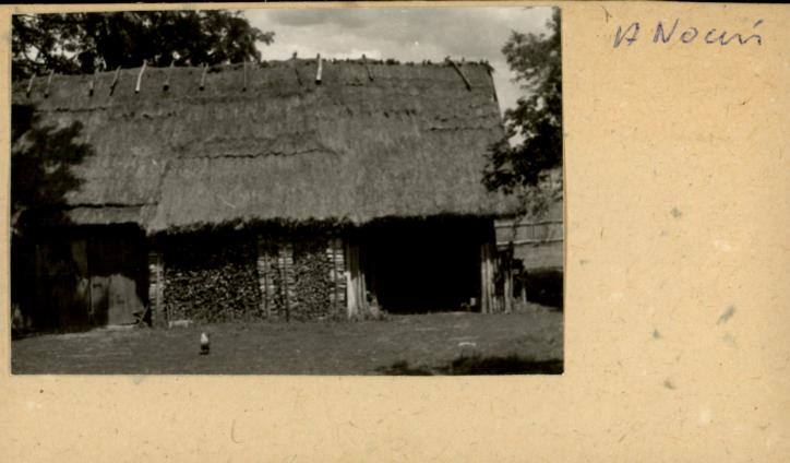 stodoła, skan 2