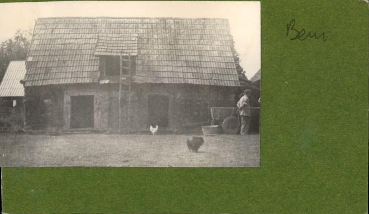 chlew. -staj., skan 2